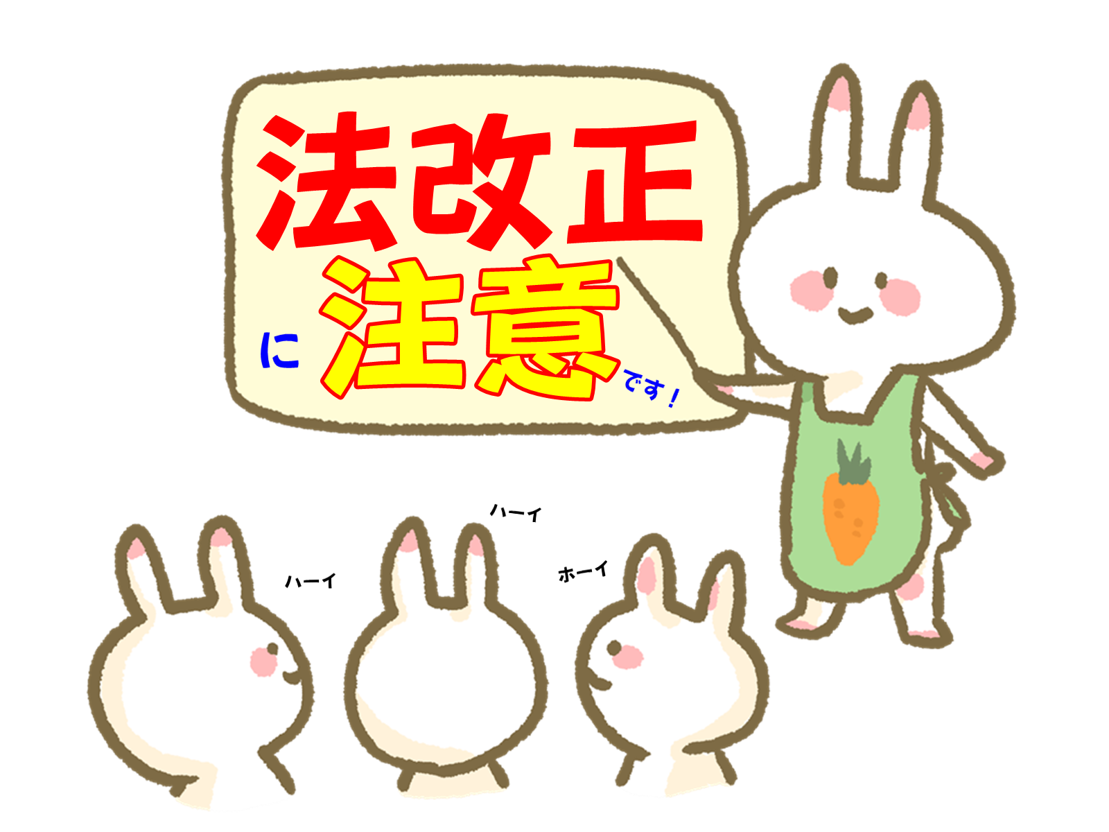 法改正